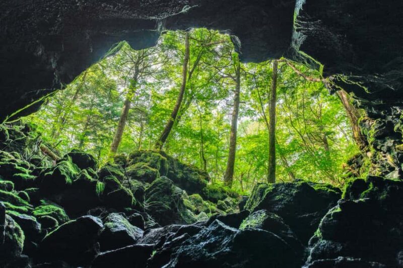 Mt Fuji Hidden Gems with Local Expert Guide - Practical Details and Why They Matter