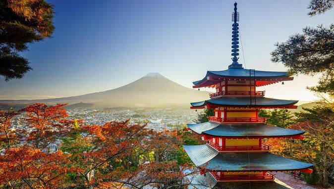 mt-fuji-highlight-private-tour-from-kawaguchiko-public-transportation