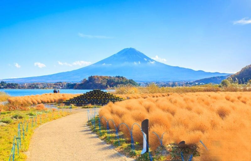 mt-fuji-highlights-day-tour-with-hotel-pick-up-vip-group