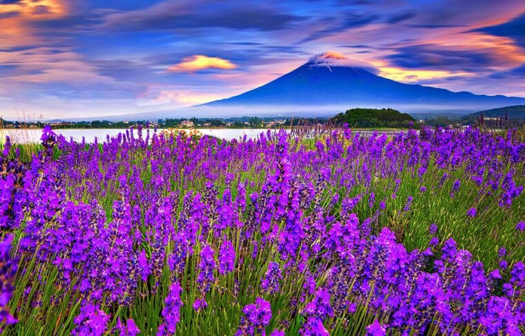 mt-fuji-highlights-day-tour-with-hotel-pick-up-vip-group