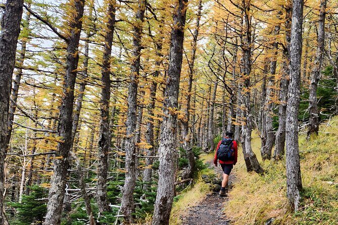 Mt. Fuji Hiking from Shimizu Port - Who Should Consider This Tour?