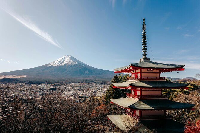 Mt. Fuji in Comfort: Private Ride Premium Service - Final Thoughts: The Value of a Private Scenic Escape