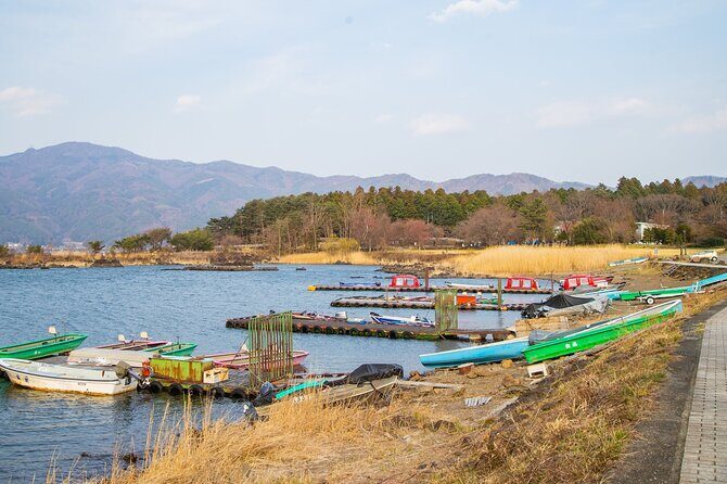 Mt. Fuji Kawaguchiko Earthquake Experience Museum Day Tour - Who Should Book This Tour?