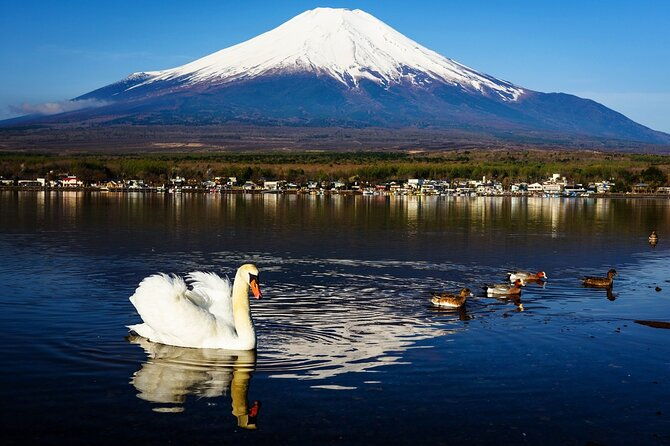 mt-fuji-lake-kawaguchi-and-yamanaka-hot-spring-day-tour-in-tokyo