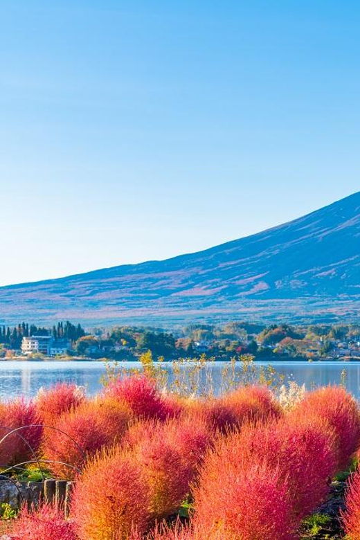 mt-fuji-lake-kawaguchi-and-yamanaka-onsen-1-day-tour