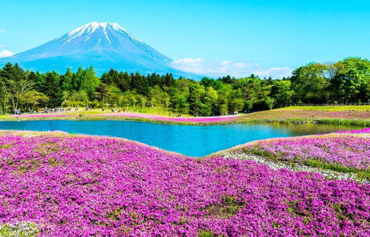 mt-fuji-lake-kawaguchi-and-yamanaka-onsen-1-day-tour
