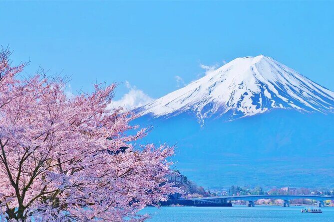 Mt Fuji Lake Kawaguchi and Yamanakako Onsen Tour from Tokyo - Transportation & Duration: Why It Matters