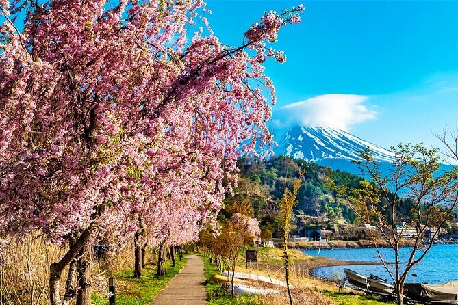 Mt Fuji Lake Kawaguchi and Yamanakako Onsen Tour from Tokyo - Authentic Experiences & Traveler Insights