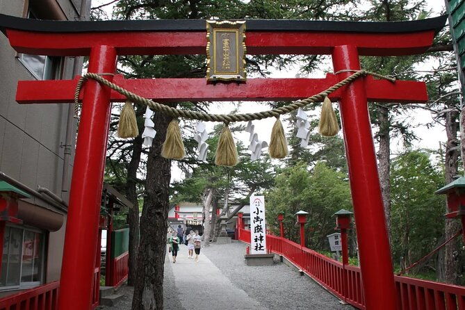 mt-fuji-lake-kawaguchi-oshino-hakkai-gotemba-tokyo-with-lunch