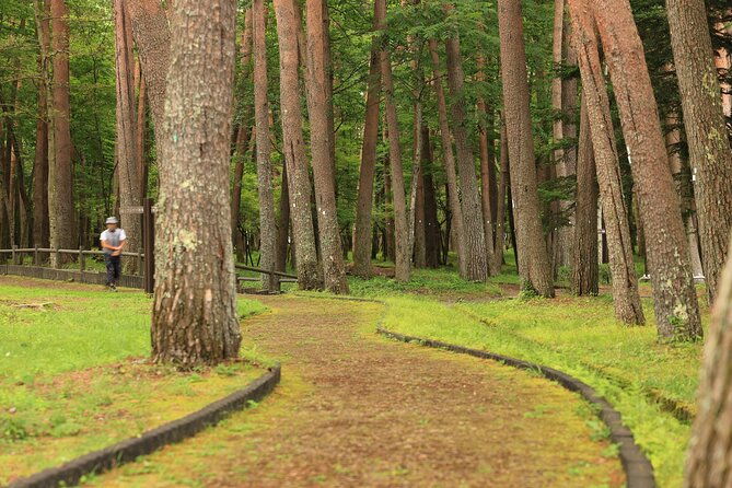 mt-fuji-luxury-getaway-and-hakone-adventure-by-private-car