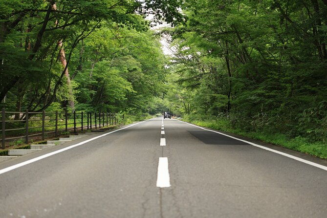 mt-fuji-luxury-getaway-and-hakone-adventure-by-private-car