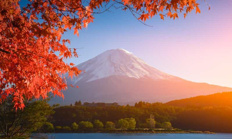 MT.Fuji: Mount Fuji Private day Tour English Speaking Driver - Final Thoughts: Who Is This Tour Best For?