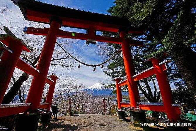 mt-fuji-oishi-park-arakurayama-sengen-park-bus-tour-from-tokyo