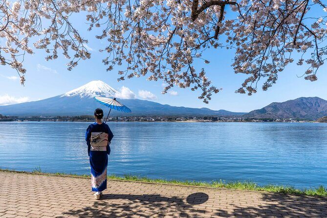 Mt. Fuji Oshino Hakkai and Gotemba Outlets Tour - Key Points