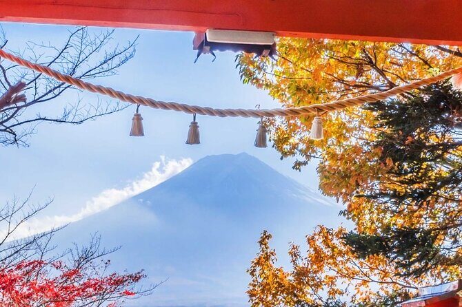 Mt. Fuji Oshino Hakkai and Gotemba Outlets Tour - Value for Money and Practical Considerations