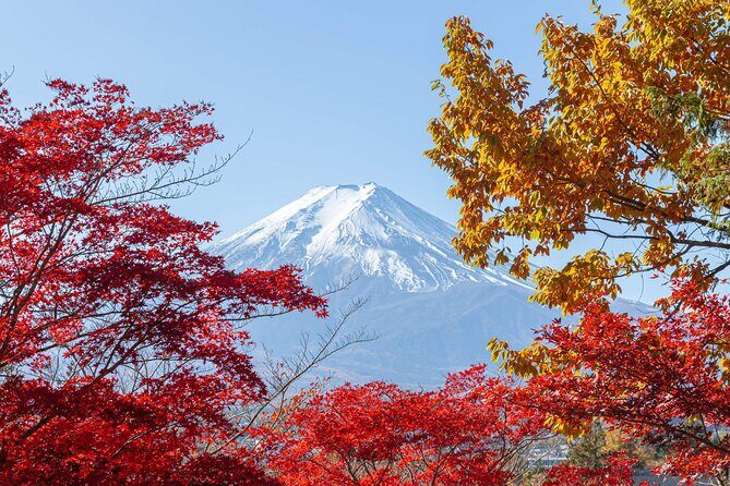 Mt. Fuji Oshino Hakkai and Gotemba Outlets Tour - Who Should Book This Tour?