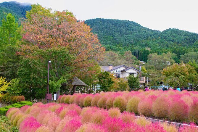 Mt. Fuji Oshino Hakkai and Gotemba Outlets Tour - Final Thoughts