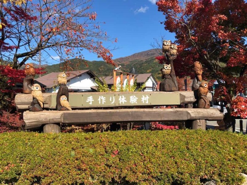 Mt.Fuji, Oshino Hakkai, Gotemba Outlet 1 Day Tour from Tokyo - Key Points