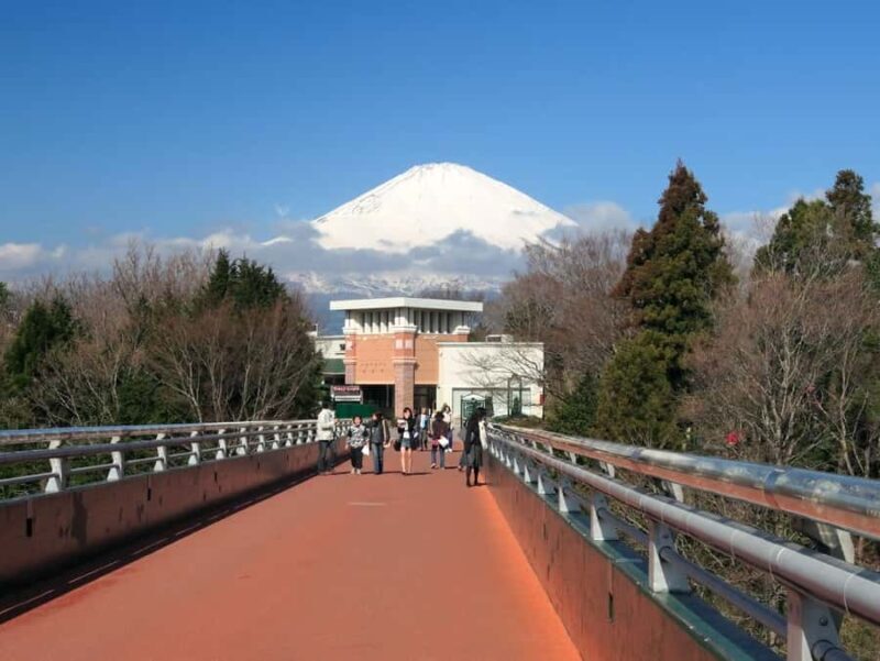 Mt.Fuji, Oshino Hakkai, Gotemba Outlet 1 Day Tour from Tokyo - The Sum Up