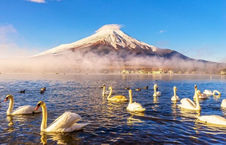 mt-fuji-oshino-hakkai-hakone-owakudani-cable-car-day-trip