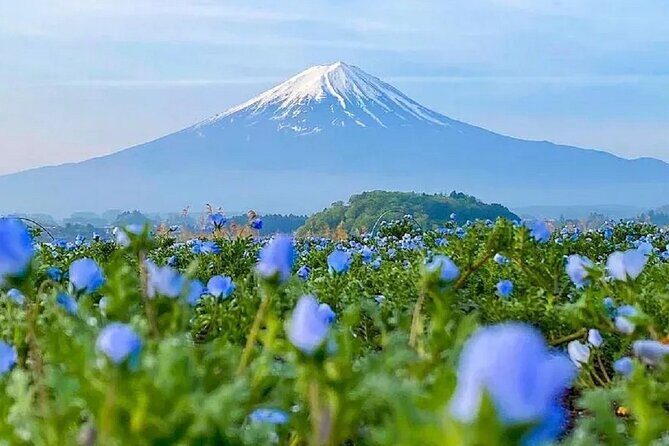 Mt Fuji Pilgrimage Full Day Tour with 7 Must See Scenic Spots - Key Points