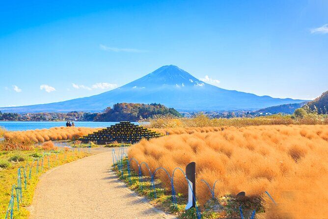 Mt Fuji Pilgrimage Full Day Tour with 7 Must See Scenic Spots - Transportation and Logistics