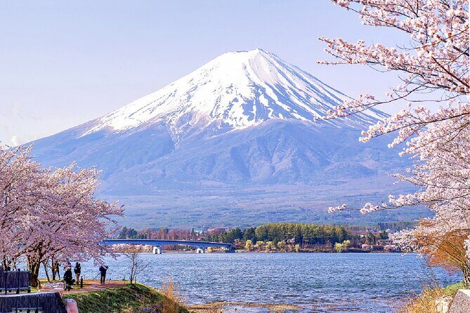 Mt Fuji Pilgrimage Full Day Tour with 7 Must See Scenic Spots - Who Should Consider This Tour?