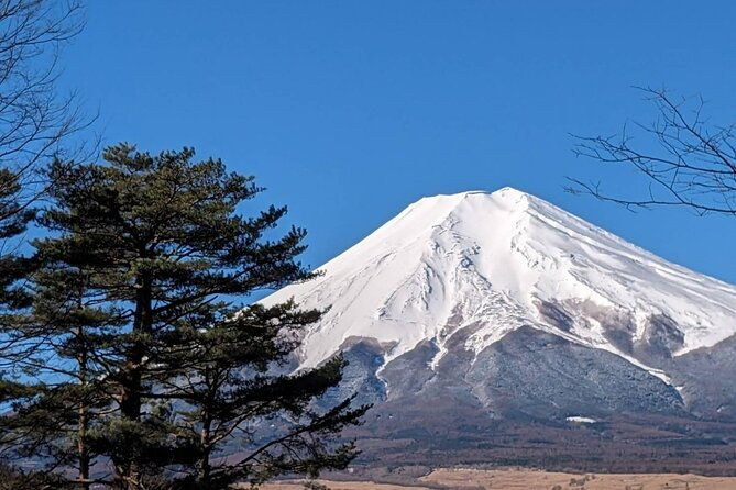 mt-fuji-private-car-tour-from-tokyo
