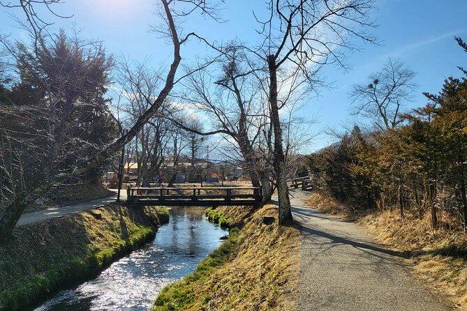 mt-fuji-private-car-tour-from-tokyo