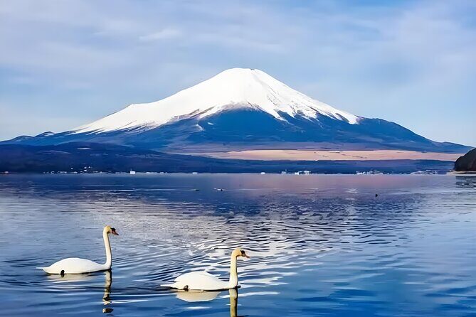 Mt. Fuji Private Customized Day Tour - Who Will Love This Tour?