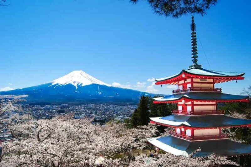 Mt. Fuji Private Day Tour: Luxury Car, Pagoda & Hidden Gems - Our Take on the Overall Value