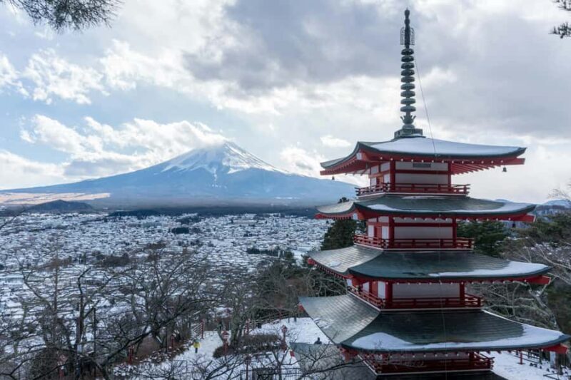 Mt. Fuji Private Day Tour: Luxury Car, Pagoda & Hidden Gems - Who Should Consider This Tour?