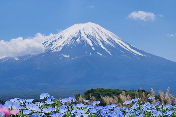 mt-fuji-private-day-tour-with-english-speaking-driver