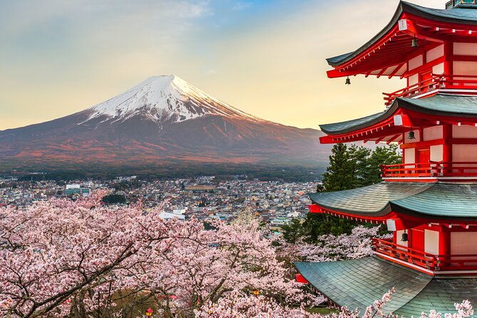 mt-fuji-private-day-trip-from-tokyo-with-english-speaking-driver