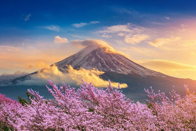 mt-fuji-private-day-trip-from-tokyo-with-english-speaking-driver