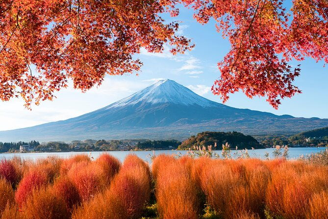 mt-fuji-private-day-trip-from-tokyo-with-english-speaking-driver