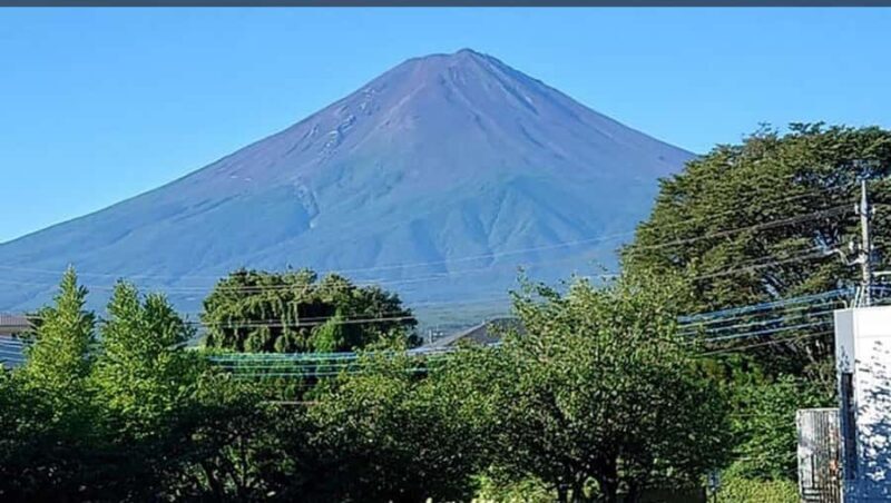 Mt.Fuji Private tour by car with pick and drp from Tokyo - A Deep Dive into the Experience