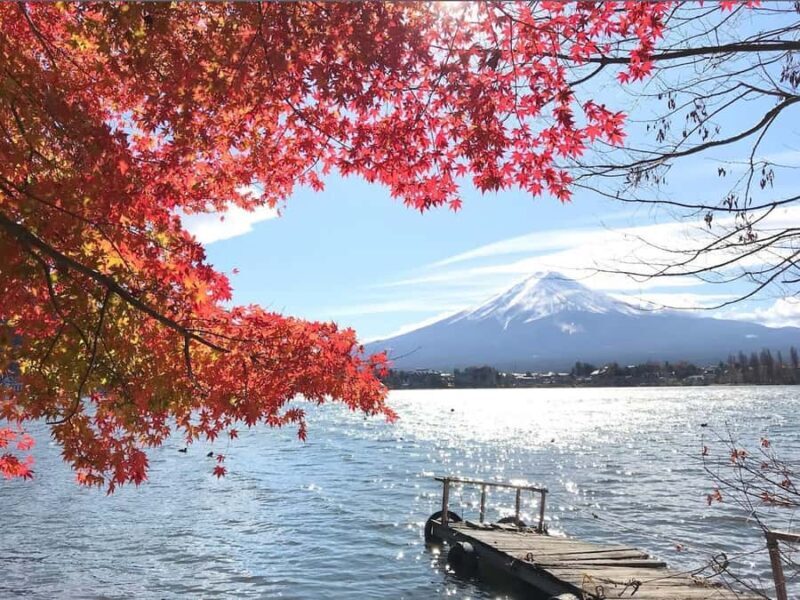 Mt.Fuji Private tour by car with pick and drp from Tokyo - Who Is This Tour Best For?
