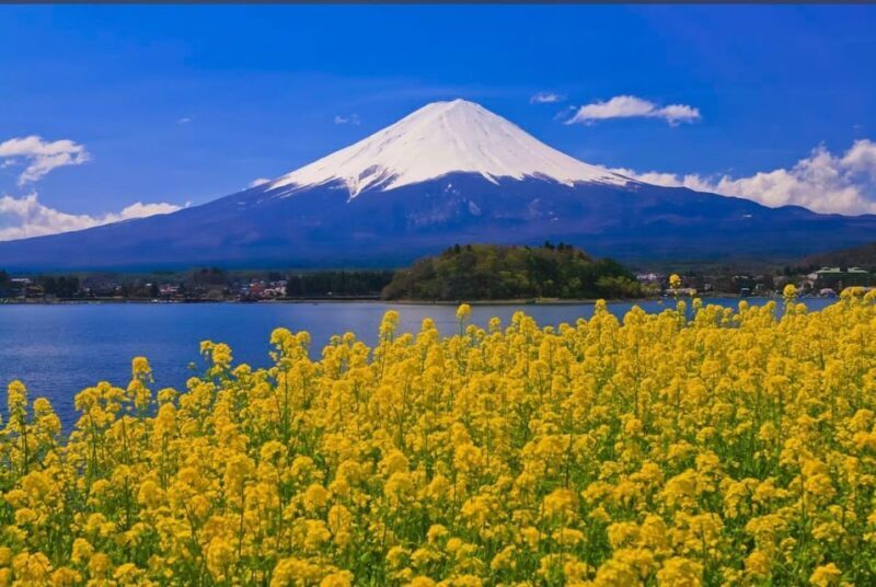 Mt.Fuji Private tour by car with pick and drp from Tokyo - Final Thoughts