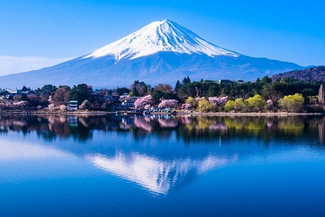 mt-fuji-private-tour-from-tokyo-with-english-guide