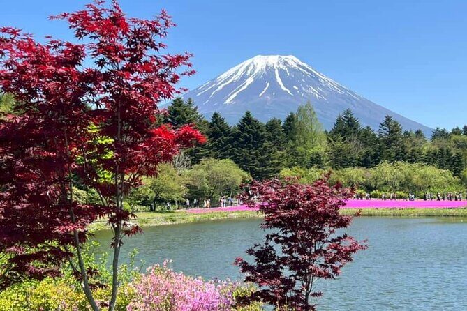 Mt Fuji Private Tour with English speaking driver - Exploring Mount Fuji with a Private Driver: A Detailed Review