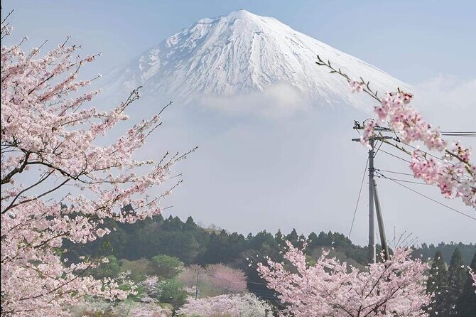 Mt Fuji Private Tour with English speaking driver - Key Points