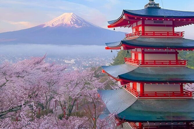 Mt Fuji Private Tour with English speaking driver - Who Is This Tour Best For?