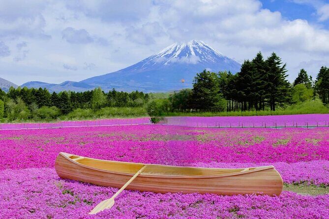 Mt Fuji Private Tour with English speaking driver - FAQs