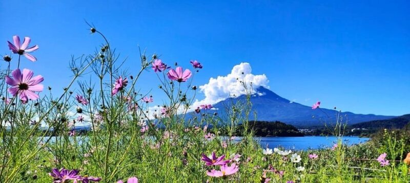 Mt. Fuji Private Tour With Hotel Pick Up From Tokyo - Transportation and Duration: What You Should Know