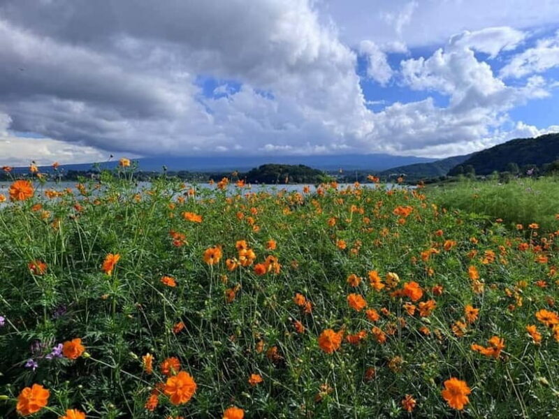 Mt. Fuji Private Tour With Hotel Pick Up From Tokyo - The Sum Up: Is This Tour Worth It?