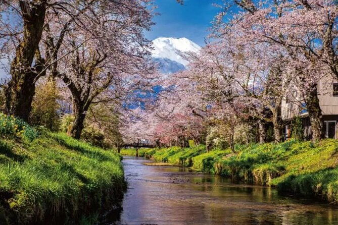 mt-fuji-roundtrip-tours-from-shinjuku-japan