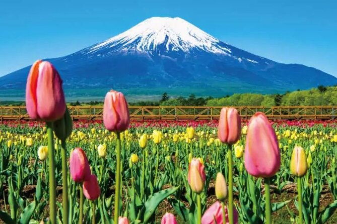 mt-fuji-roundtrip-tours-from-shinjuku-japan