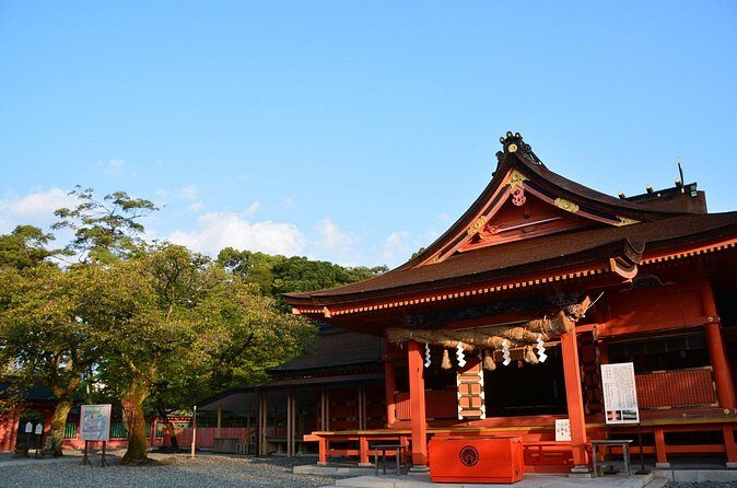 Mt. Fuji Sake and Tea Fields Tour by Private Car - Who Is This Tour Best For?