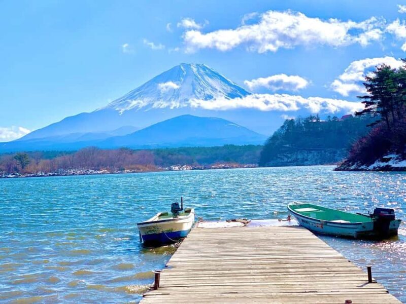 Mt.Fuji Scenic Day Trip:Lake Ashi, Volcanic Cable Car,Shrine - Discovering the Magic of Mount Fuji: A Detailed Review of the Scenic Day Trip